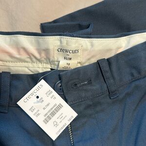 Navy Jcrew pants